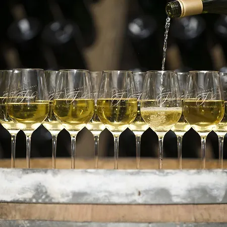 豪斯巴尔顿酒店。 * 摩泽尔河畔的泽尔